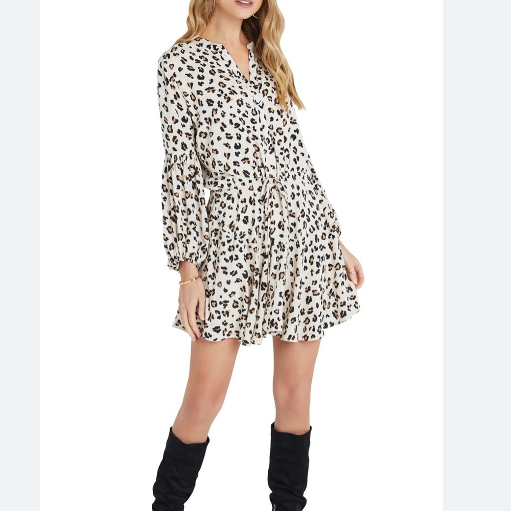 Vici leopard print dress in XS. Purchased from Nordstrom, worn once. Fall dress